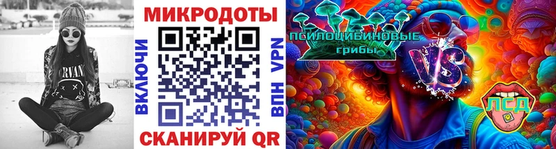 Галлюциногенные грибы Psilocybe  цены   Зеленокумск 