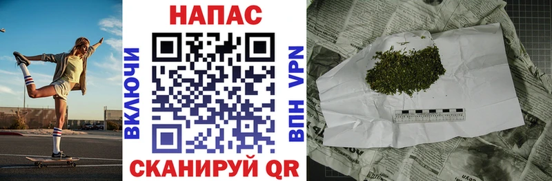 Бошки марихуана сатива  купить наркотик  Зеленокумск 